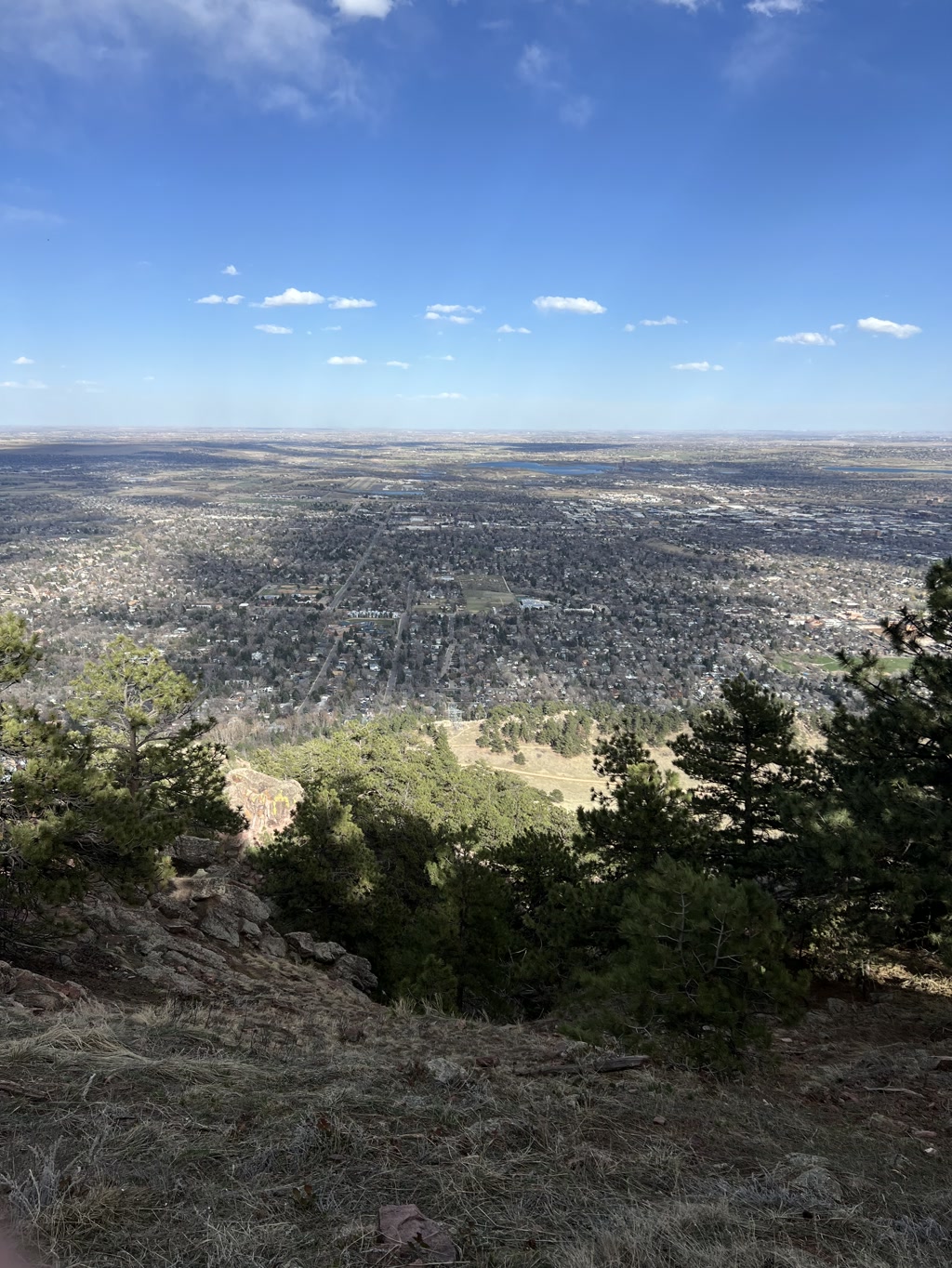 A panoramic view from a high vantage point overlooking a sprawling city situated on a plain with a backdrop of a clear blue sky. The landscape includes patches of greenery, multiple residential and commercial areas with recognizable road networks. In the foreground, you can see rocky terrain with dry grasses and a few coniferous trees typical of a mountaintop or highland area.