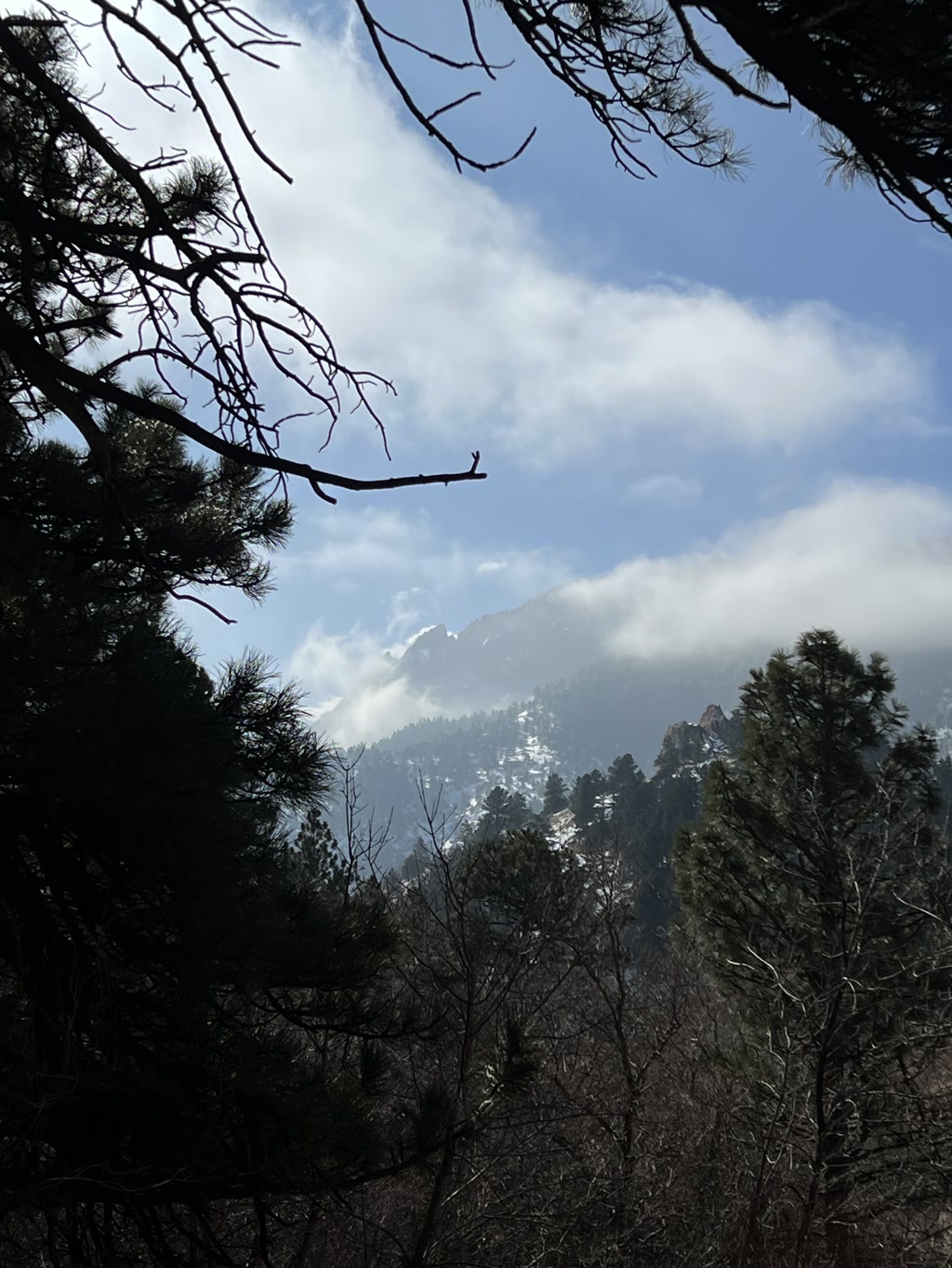 A scenic view through a foreground of dark silhouetted branches of pine trees, overlooking a backdrop of a mountain range partially obscured by a low layer of clouds or mist. The mountain peaks are covered in snow, offering a contrast to the evergreen trees dotting the slopes. The sky is bright with patches of blue and scattered white clouds, suggesting a cool or cold but relatively clear day.